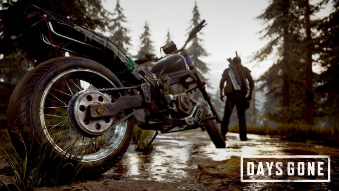 Days Gone Photo Mode